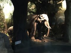 -嘉定博物馆