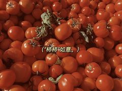 -李村大集