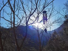 -黑龙潭风景区