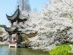 -杭州野生动物世界