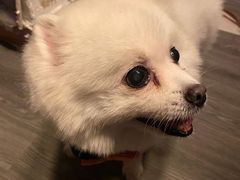 -伽利略剧本探案馆(国贸店)