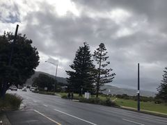 -Dooley's Premium Ice Cream