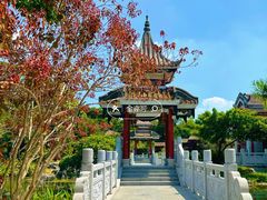 -顺峰山公园