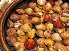 -太湖饭店玉兰厅(自助餐厅)