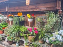 -龙姐私房菜(和顺古镇店)