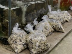 -蚝乡农庄(铁涌赤岸店)