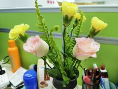 -HIHE Bistro·Oyster Bar(华熙live店)