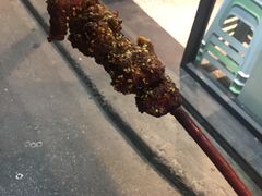 -光明巷里木烤肉