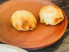 新疆烤包子-新疆杭州疗养院·富春山庄