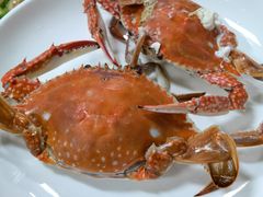 -金秋小吃海鲜·专注30年临海特色风味