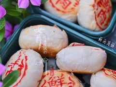 鲜肉月饼-梅潭村·糕饼铺·伴手礼(北新桥店)