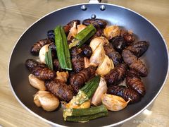 -山楂树融合菜餐厅