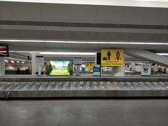 -约翰·菲茨杰拉德·肯尼迪国际机场