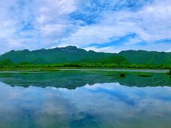 -大九湖