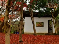 -秋霞圃