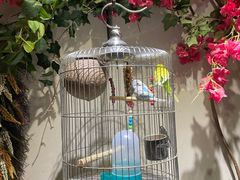 -观盐·盐帮菜(官园桥店)