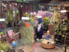 -正佳雨林生态植物园