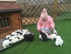 -萌宠亲子动物乐园(槐房万达店)