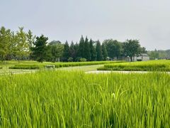 -北坞公园