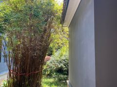 -湖南省立第一师范学校旧址