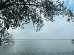 -宝安西湾红树林湿地公园