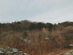 -北京西山国家森林公园