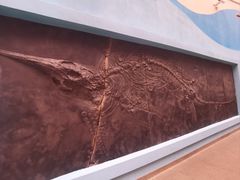 -陕西自然博物馆