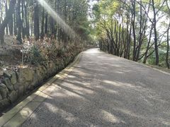 -雨花胜境