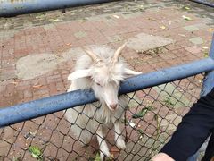 -长白岛森林公园