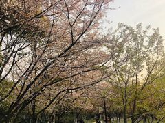 -范蠡湖公园
