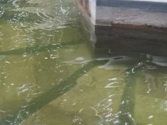 -碧水湾温泉