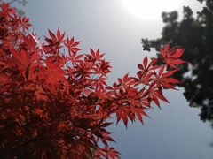 -南京珍珠泉风景区