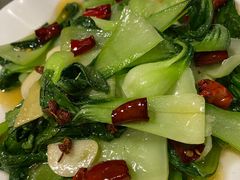 -文三里屯面馆(三里屯店)