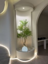 -VE专注问题肌·赛诺龙&科学美肤中心