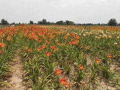 -汉长安城未央宫国家考古遗址公园