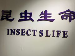 -上海昆虫博物馆