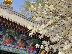 -护国法轮寺