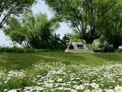 -汉长安城未央宫国家考古遗址公园