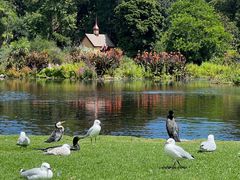 -墨尔本皇家植物园