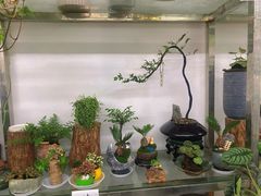 -循礼门鲜花花市(武汉循礼门店)