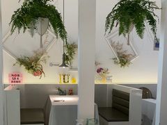 -春树下·树屋花房西餐厅(罍街AS1980店)