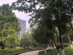 -重庆彩云湖湿地公园