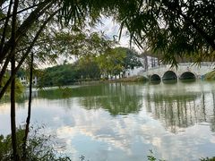 -中国科学院华南植物园