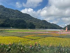 -广州市石门国家森林公园