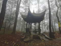 -四明山国家森林公园