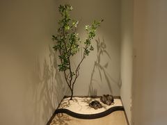 -古莲·影院足道·按摩SPA(水上温泉店)