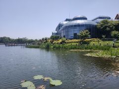 -大塘金香草谷
