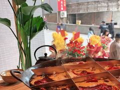 -白乐天毛肚火锅馆(解放碑店)