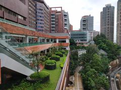 -香港大学
