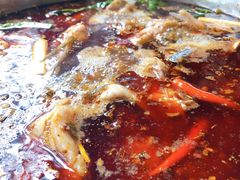 -蜀滋香鲜鱼美蛙火锅(339店)